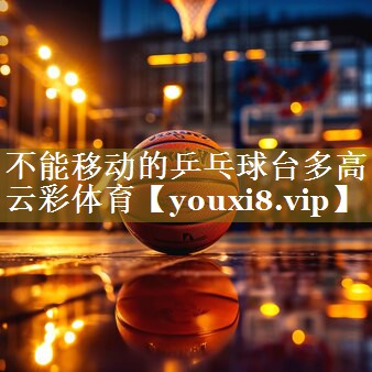 不能移动的乒乓球台多高云彩体育
