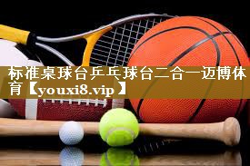 标准桌球台乒乓球台二合一迈博体育