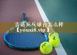 <strong>吉诺乒乓球台怎么样</strong>