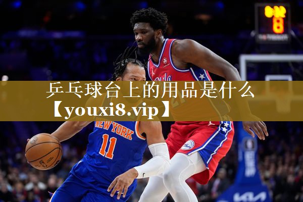 乒乓球台上的用品是什么